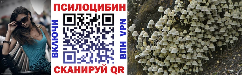Галлюциногенные грибы Magic Shrooms Иркутск